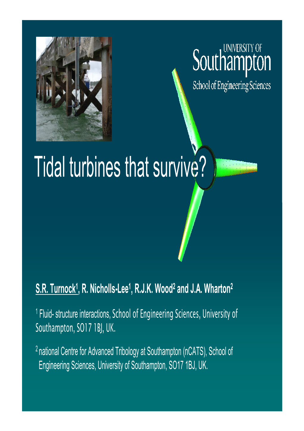Tidal Turbines That Survive?