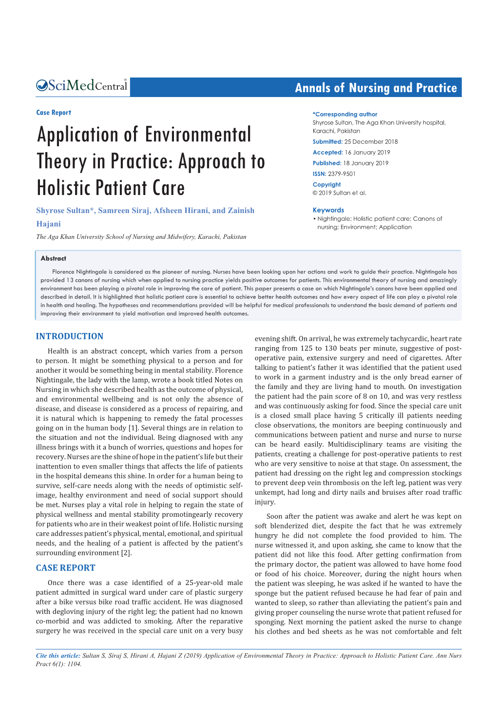 Application of Environmental Theory in Practice: Approach to Holistic Patient Care