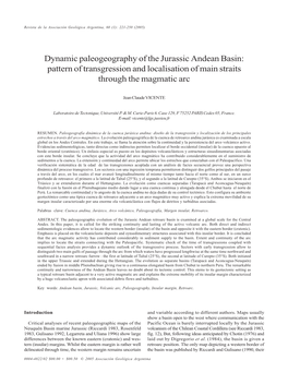 Dynamic Paleogeography of the Jurassic Andean Basin: Pattern of Transgression and Localisation of Main Straits Through the Magmatic Arc