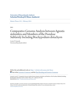 Comparative Genome Analysis Between Agrostis Stolonifera and Members of the Pooideae Subfamily Including Brachypodium Distachyon Loreto P