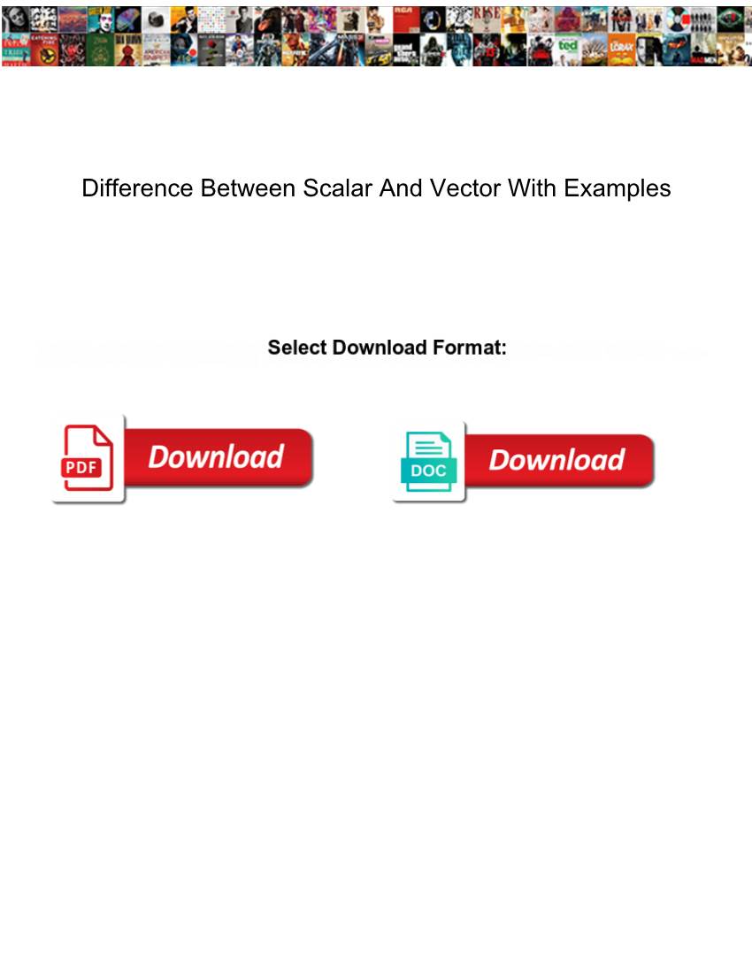 Difference Between Scalar and Vector with Examples
