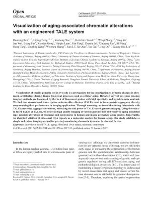 Visualization of Aging-Associated Chromatin Alterations with an Engineered TALE System