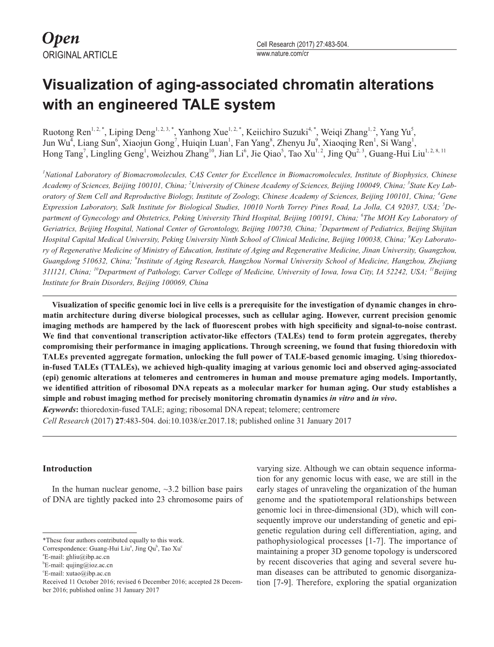 Visualization of Aging-Associated Chromatin Alterations with an Engineered TALE System