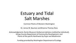 Estuary and Tidal Salt Marshes Common Plants of Western Washington