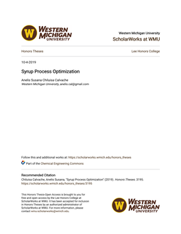 Syrup Process Optimization