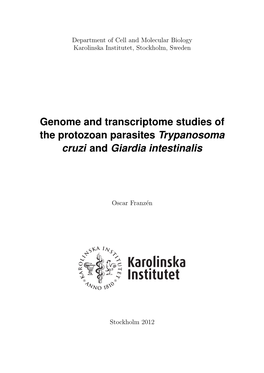 Genome and Transcriptome Studies of the Protozoan Parasites Trypanosoma Cruzi and Giardia Intestinalis