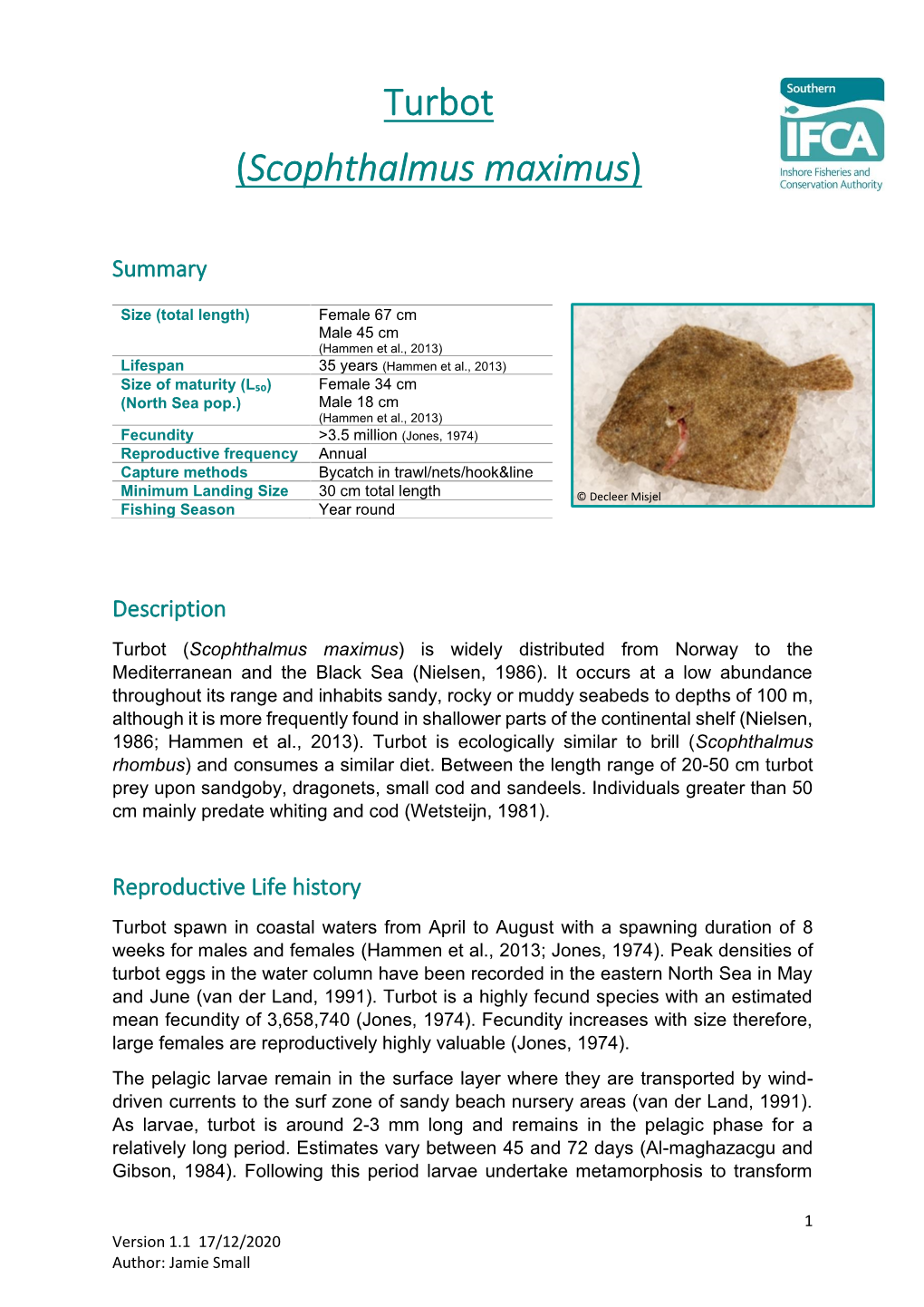Turbot (Scophthalmus Maximus) Is Widely Distributed from Norway to the Mediterranean and the Black Sea (Nielsen, 1986)