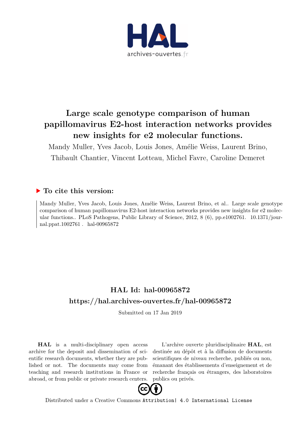 Large Scale Genotype Comparison of Human Papillomavirus E2-Host Interaction Networks Provides New Insights for E2 Molecular Functions