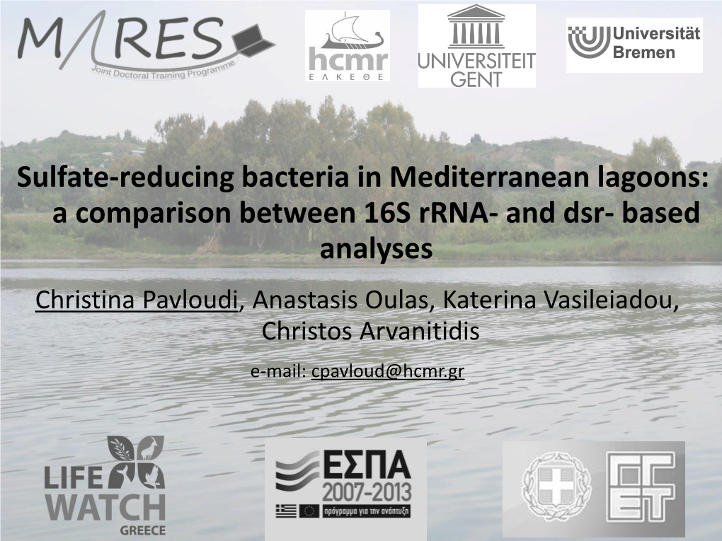 Sulfate-Reducing Bacteria in Mediterranean Lagoons