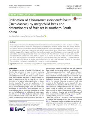 Pollination of Cleisostoma Scolopendrifolium (Orchidaceae) By