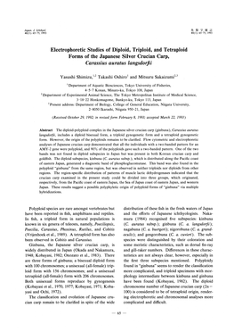 Electrophoretic Studies of Diploid, Triploid, and Tetraploid Forms of the Japanese Silver Crucian Carp, Carassius Auratus Langsdorfii