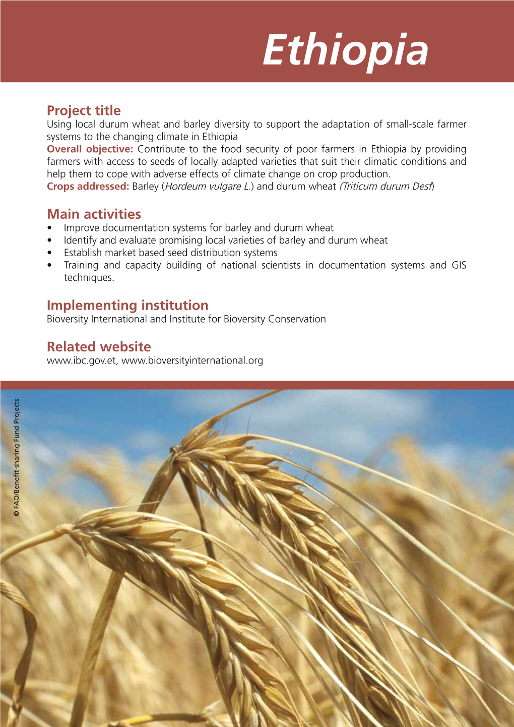 Using Local Durum Wheat and Barley Diversity to Support the Adaptation of Small-Scale Farmer Systems to the Changing Climate In