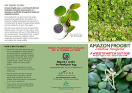 Amazon Frogbit Brochure