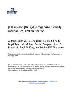[Fefe]- and [Nife]- Hydrogenase Diversity, Mechanism, and Maturation