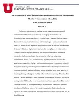 Neural Mechanisms of Sexual Transformation in Thalassoma Bifasciatum, the Bluehead Wrasse