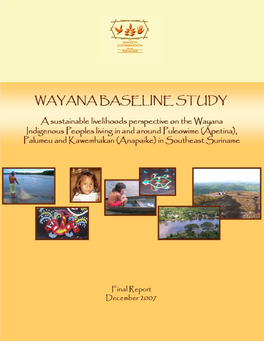 Wayana Baseline Study