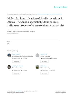 Molecular Identification of Azolla Invasions in Africa: the Azolla Specialist, Stenopelmus Rufinasus Proves to Be an Excellent Taxonomist