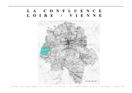 La Confluence Loire/Vienne