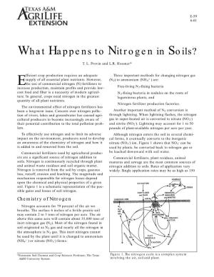 What Happens to Nitrogen in Soils?