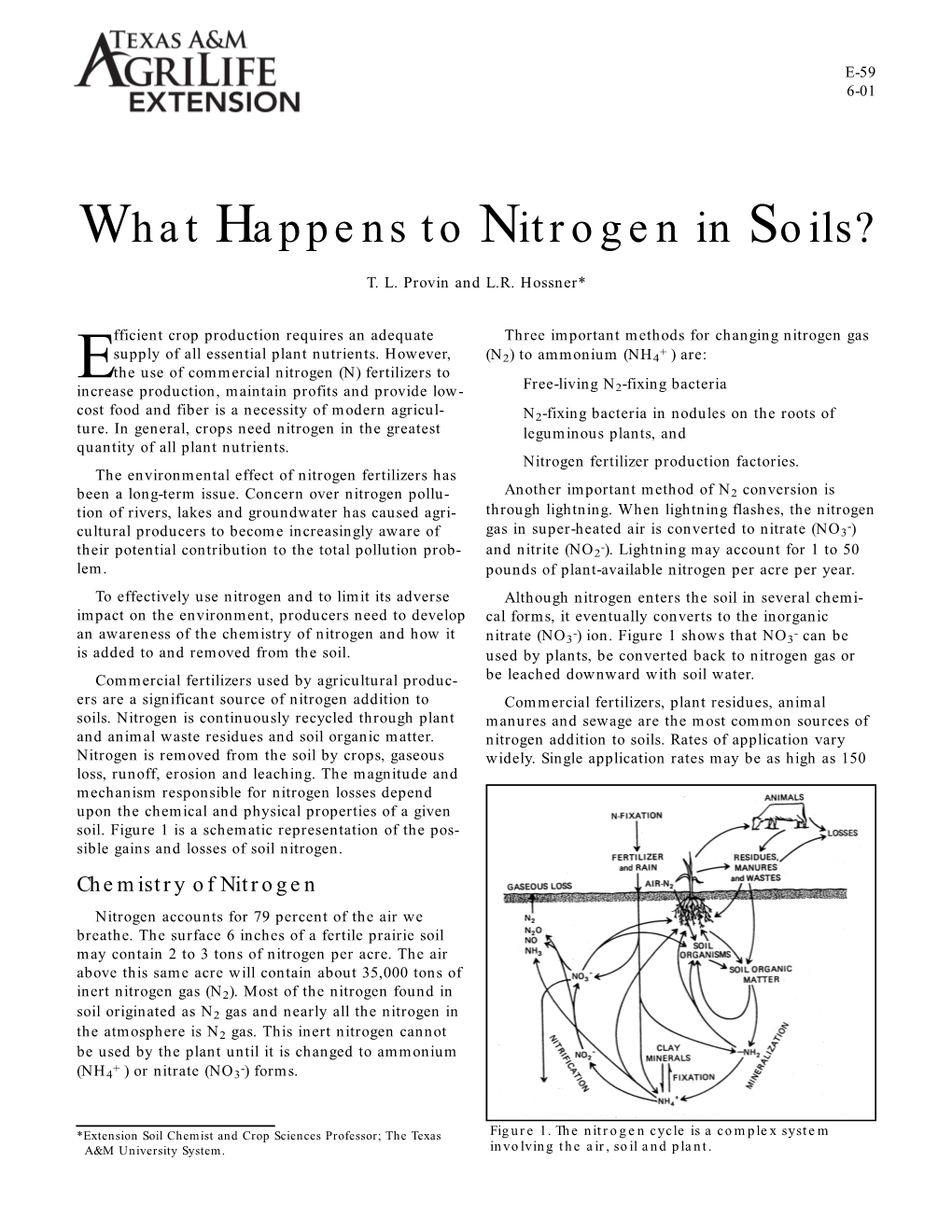 What Happens to Nitrogen in Soils?