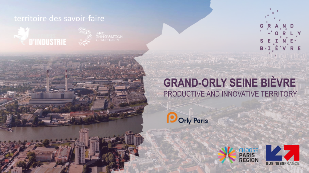 Orly Paris Airport Area South Paris Region Gateway