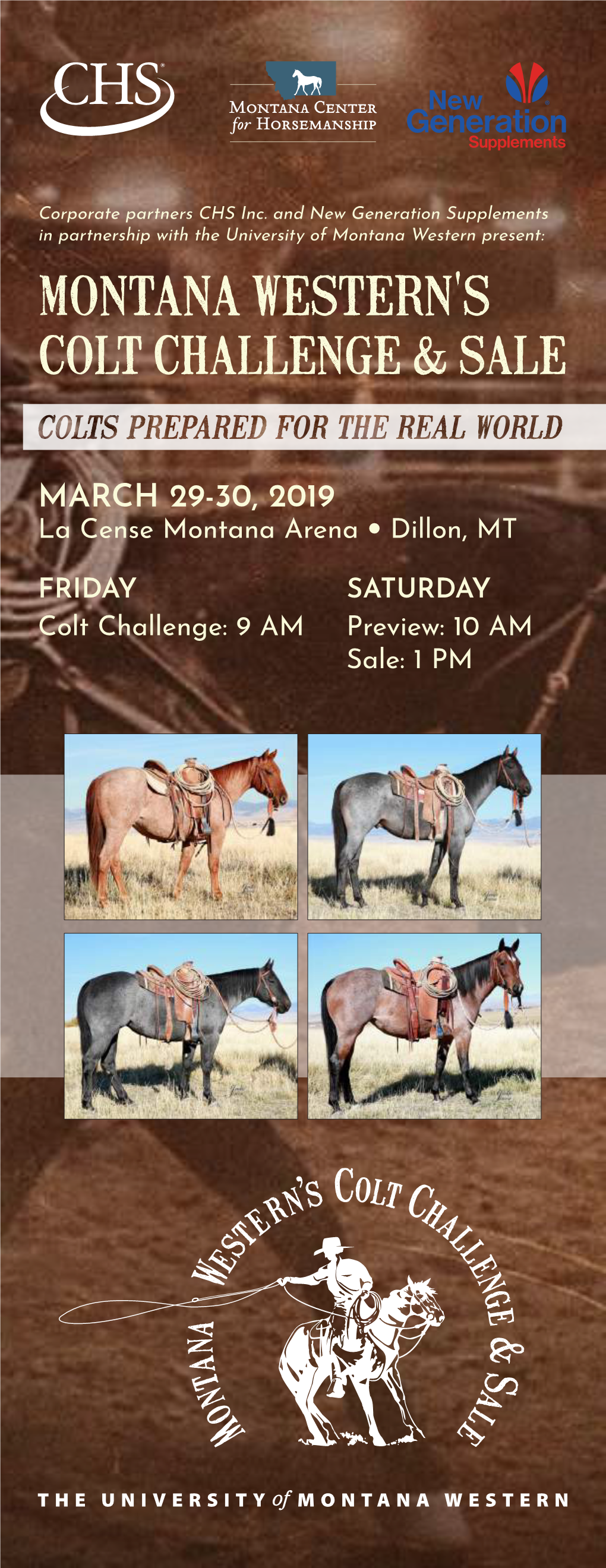 Montana Western's Colt Challenge & Sale