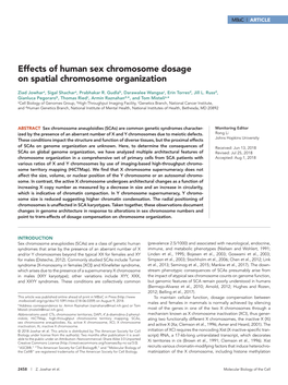 Effects of Human Sex Chromosome Dosage on Spatial Chromosome Organization