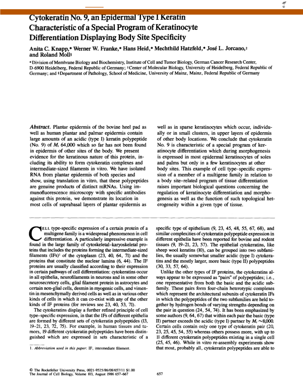 Cytokeratin No. 9, an Epidermal Type I Keratin Characteristic of a Special Program of Keratinocyte Differentiation Displaying Body Site Specificity Anita C