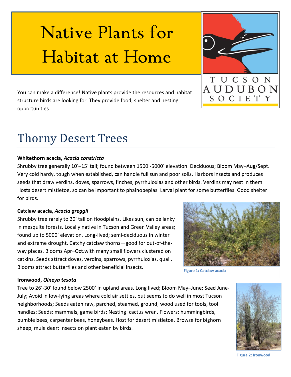 Native Plants for Habitat at Home