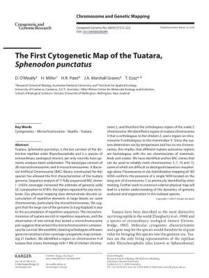 The First Cytogenetic Map of the Tuatara, Sphenodon Punctatus