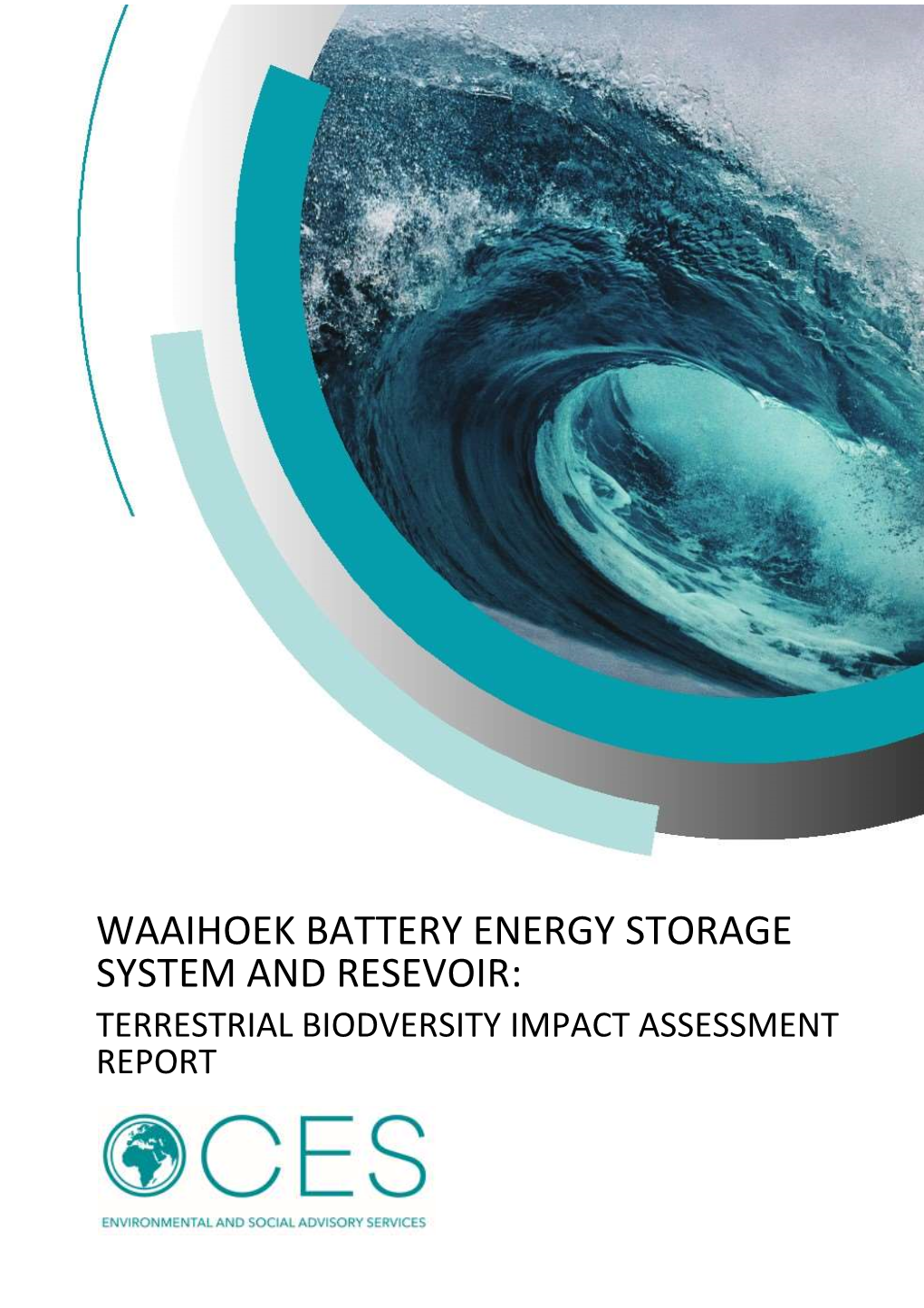 Impact Assessment Report