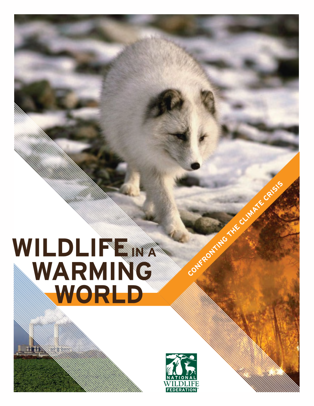 Wildlife in a Warming World 3 a New Playing Field: How Climate Change Affects Nature