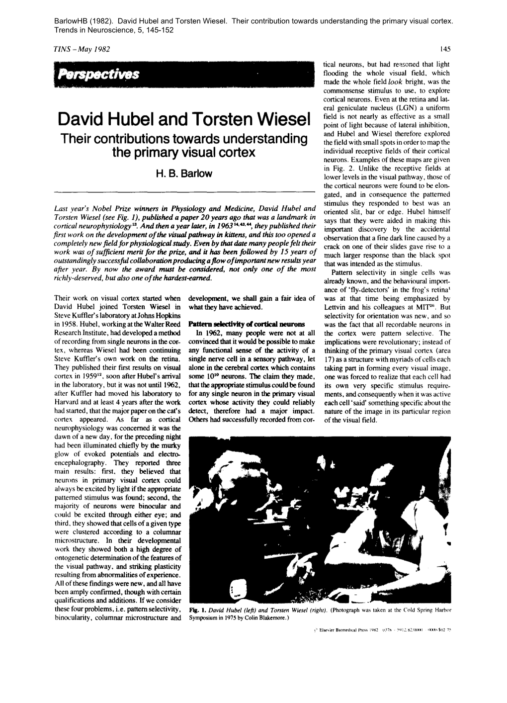 David Hubel and Torsten Wiesel