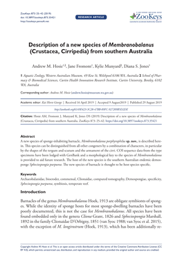 Description of a New Species of Membranobalanus (Crustacea, Cirripedia) from Southern Australia