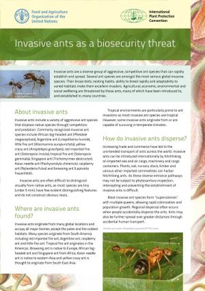Invasive Ants As a Biosecurity Threat