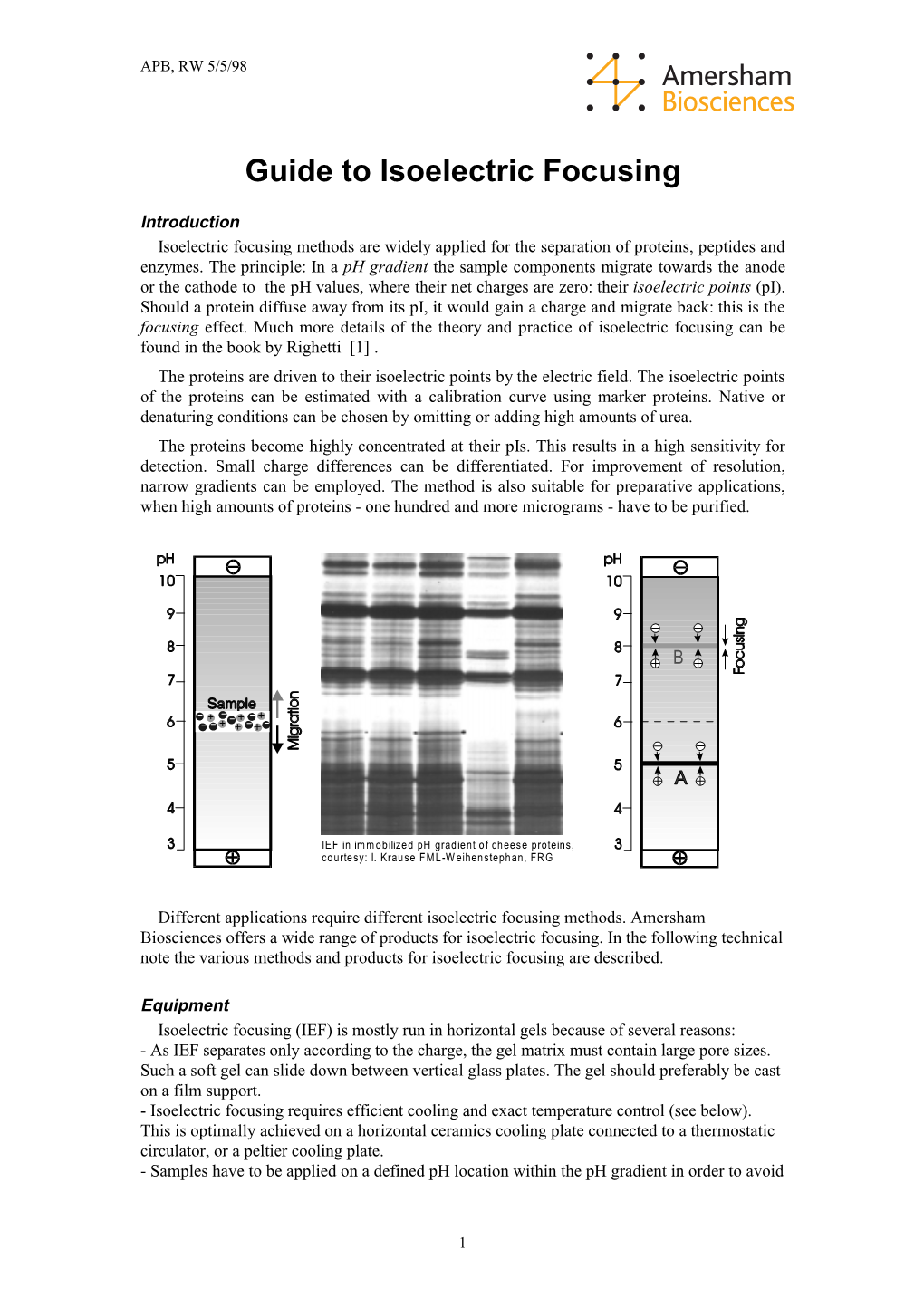 Guide to Isoelectric Focusing