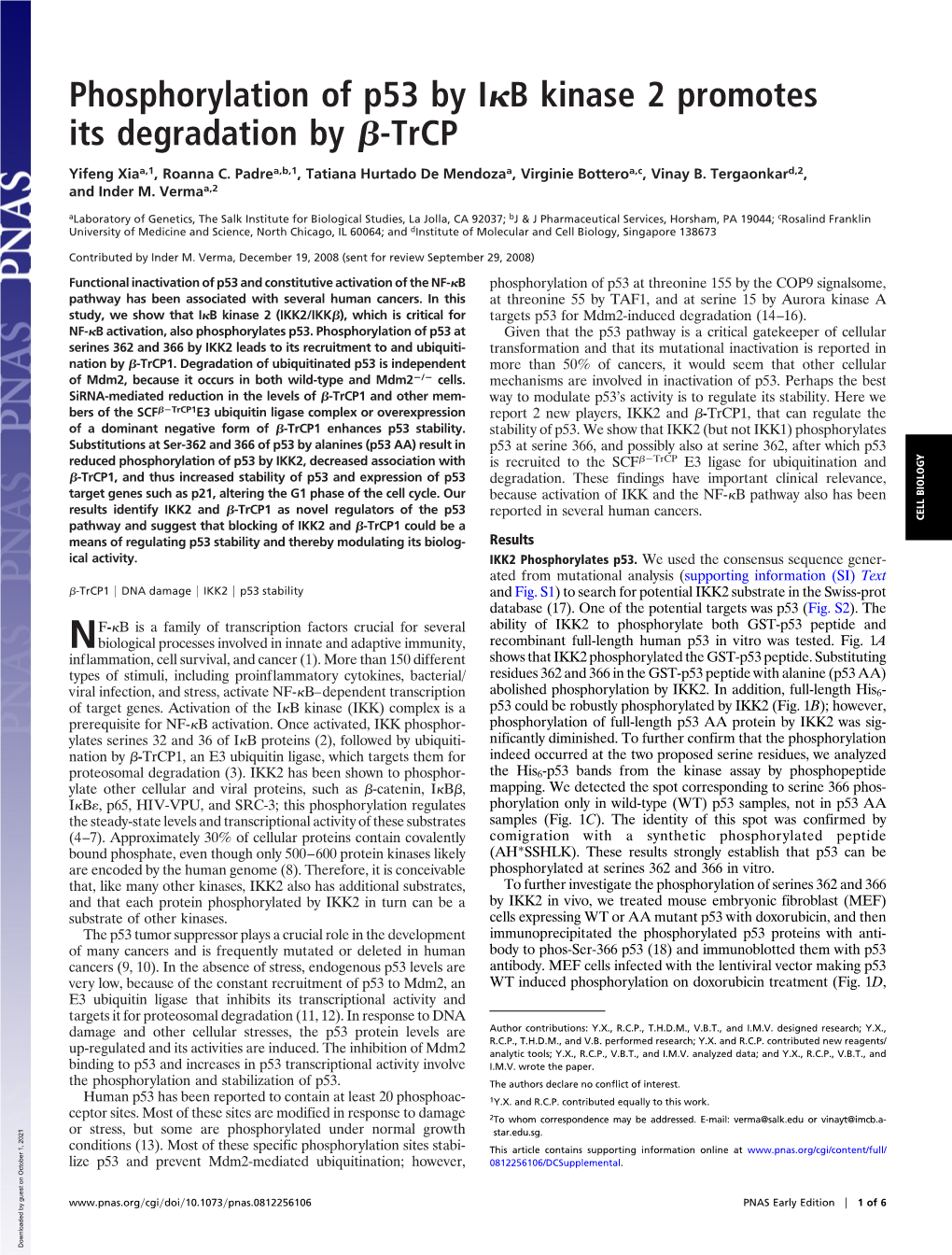 Phosphorylation of P53 by IB Kinase 2 Promotes Its Degradation By