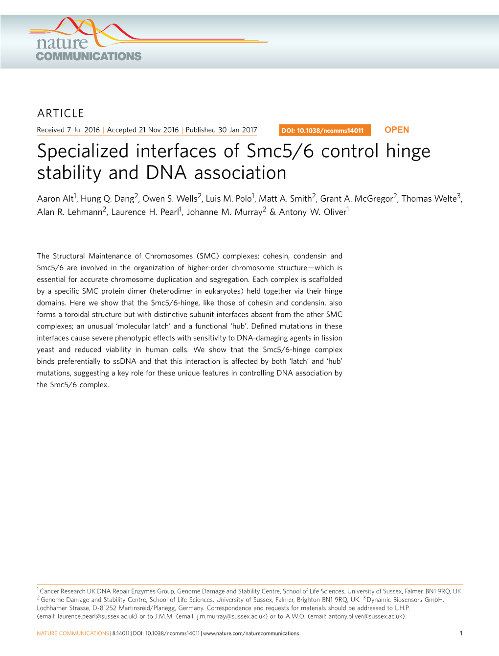 Specialized Interfaces of Smc5/6 Control Hinge Stability and DNA Association