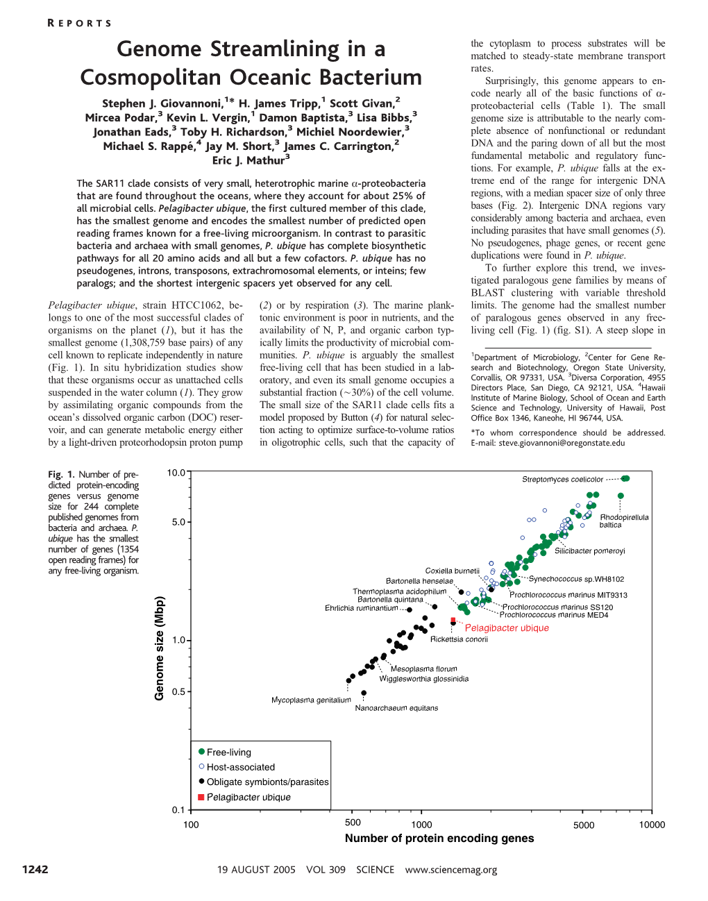 Genome Streamlining in a Cosmopolitan Oceanic Bacterium