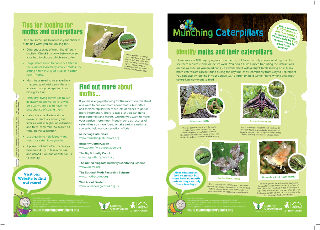 Identify Moths and Their Caterpillars Find out More About Moths... Tips