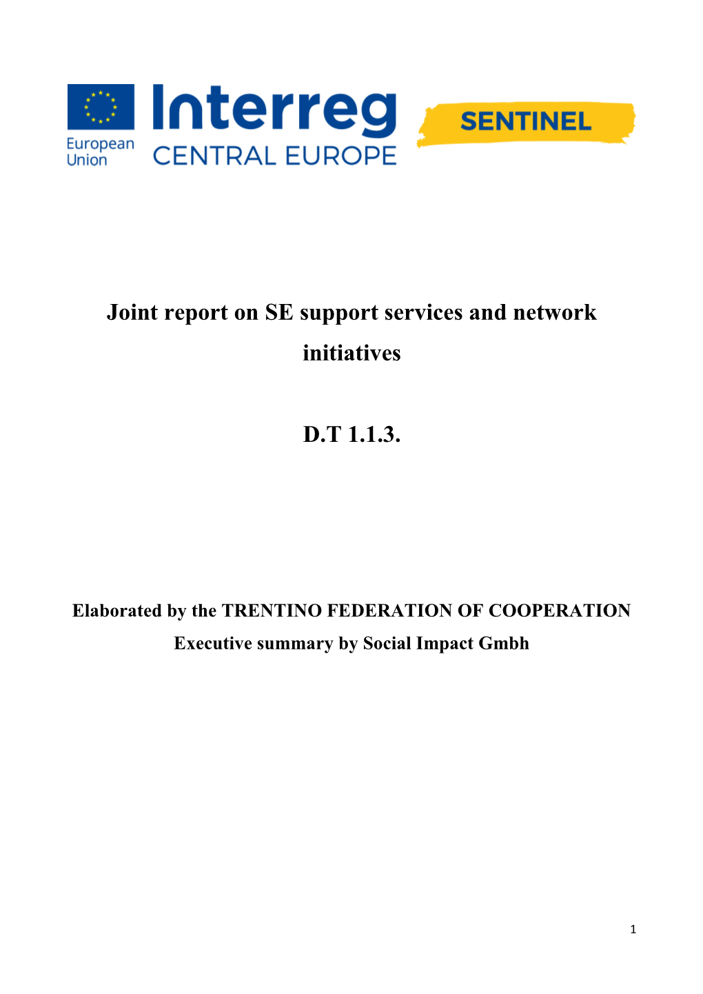 Joint Report on SE Support Services and Network Initiatives D.T 1.1.3