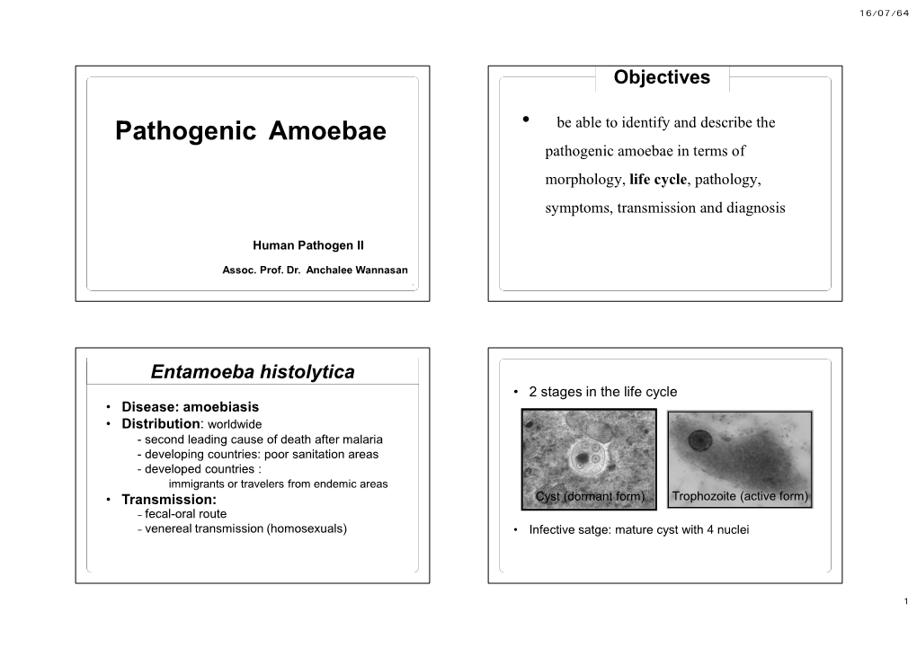 Pathogenic Amoebae Be Able to Identify and Describe the Pathogenic Amoebae in Terms of Morphology, Life Cycle, Pathology, Symptoms, Transmission and Diagnosis