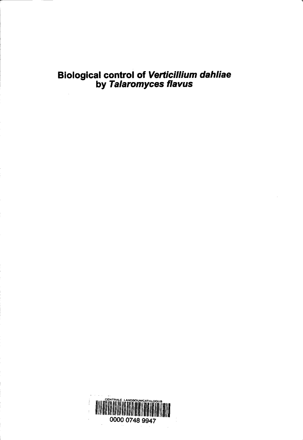 Biological Control of Verticillium Dahliae by Talaromyces Flavus