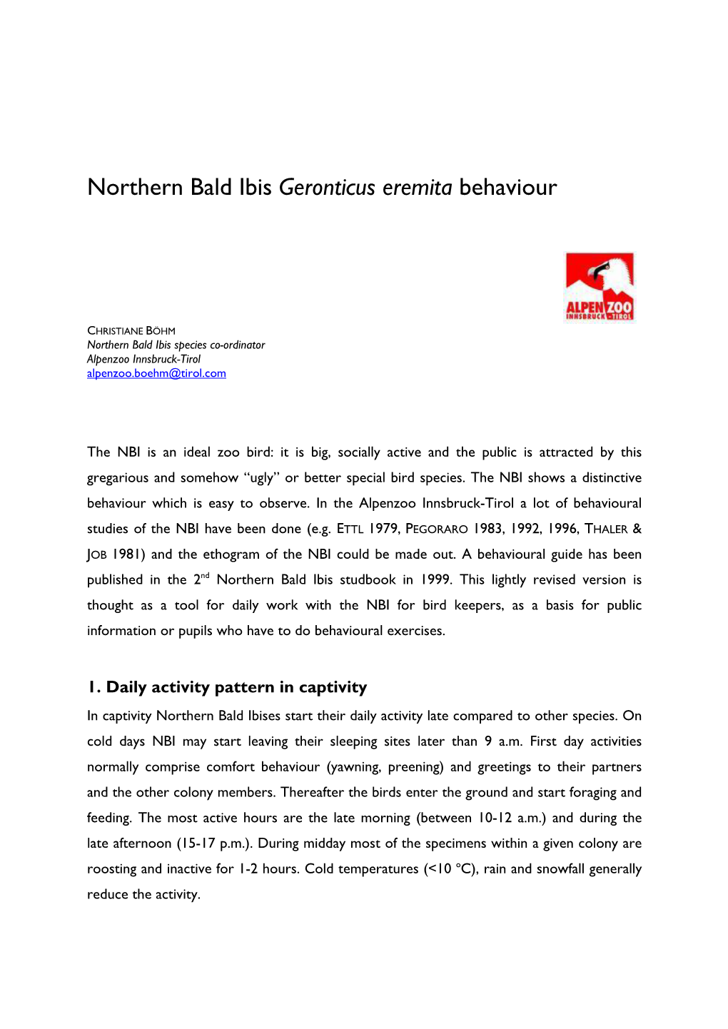 Northern Bald Ibis Geronticus Eremita Behaviour