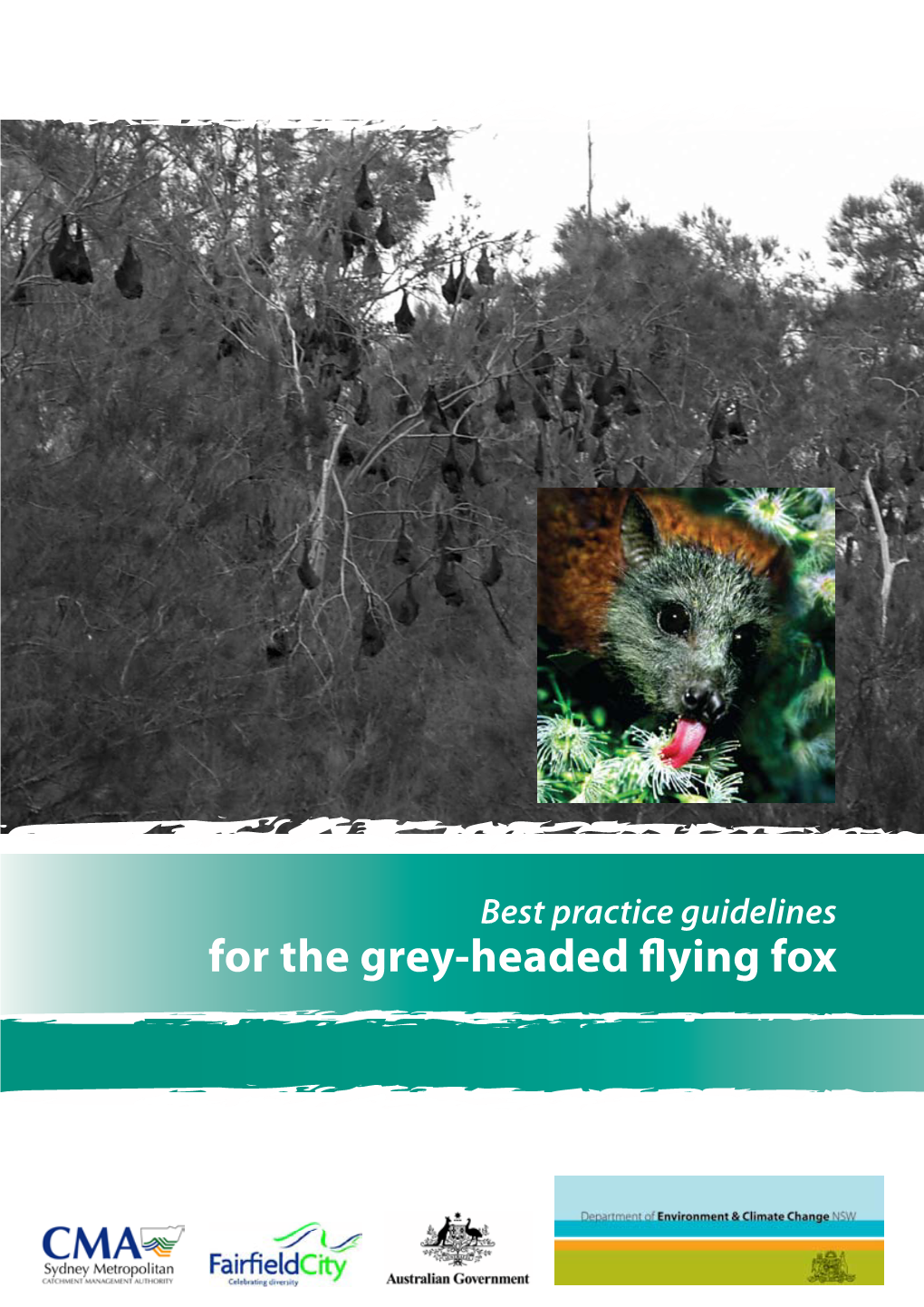 For the Grey-Headed Flying Fox © State of NSW and Department of Environment and Climate Change NSW