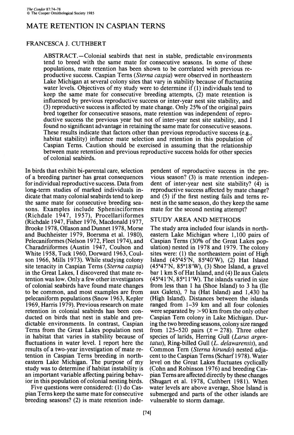 Mate Retention in Caspian Terns