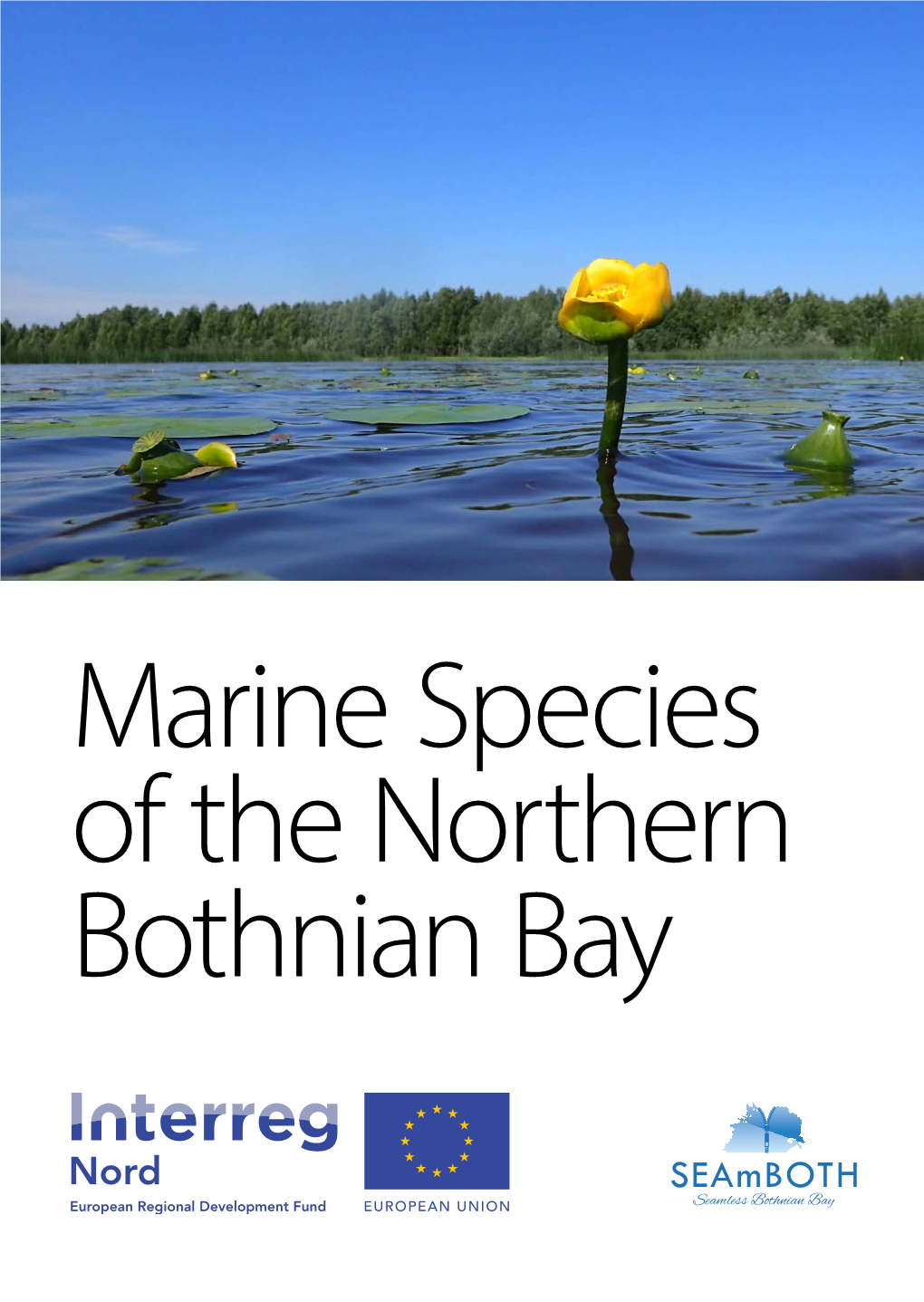 Seamboth-Marine Species of the Northern Bothnian Bay.Pdf