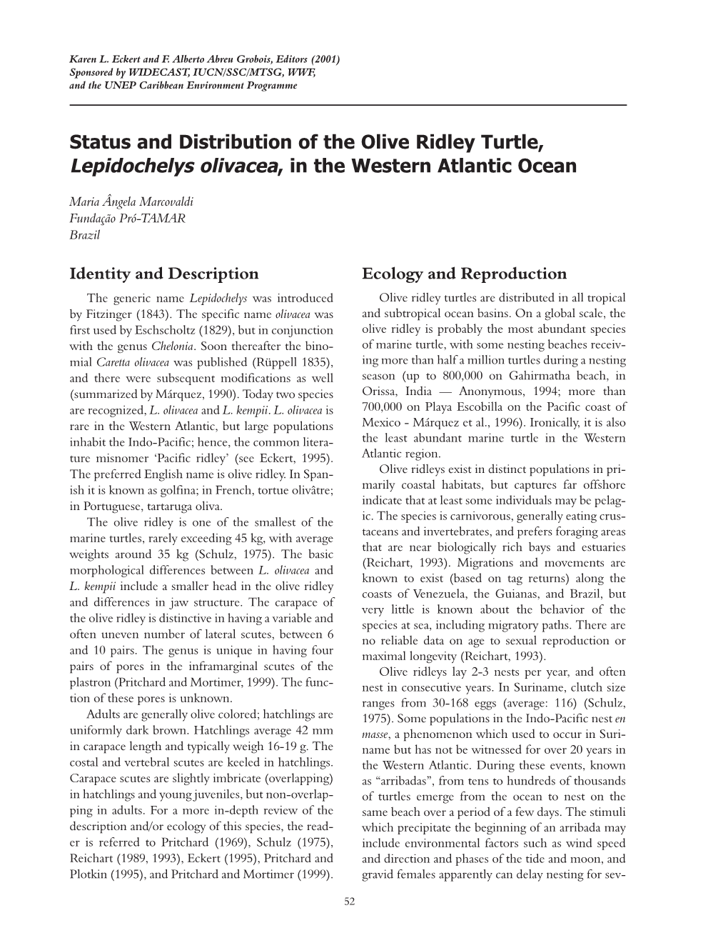 Status and Distribution of the Olive Ridley Turtle, Lepidochelys Olivacea, in the Western Atlantic Ocean