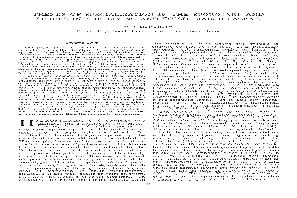 Trends of Specialization in the Sporocarp and Spores in the Living and Fossil Marsileaceae