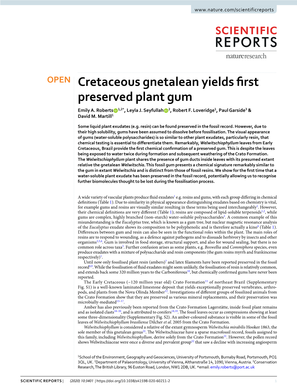 Cretaceous Gnetalean Yields First Preserved Plant